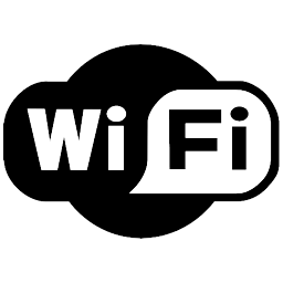 Wi-Fi in camera
